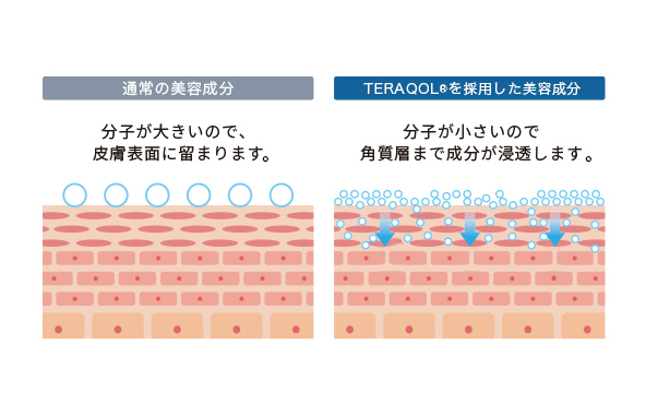 特許取得済の美容分子技術<br>TERAQOL®を採用