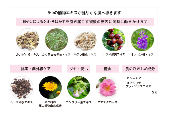 シリカ（ケイ素）高配合