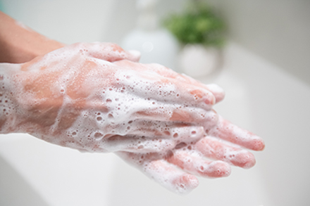 トイレ/手洗い/フロア全体の除菌・消臭
